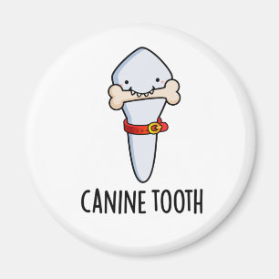 Imã Canine Tooth Dental Pun