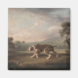 Imã Canino Espanhol (por George Stubbs)