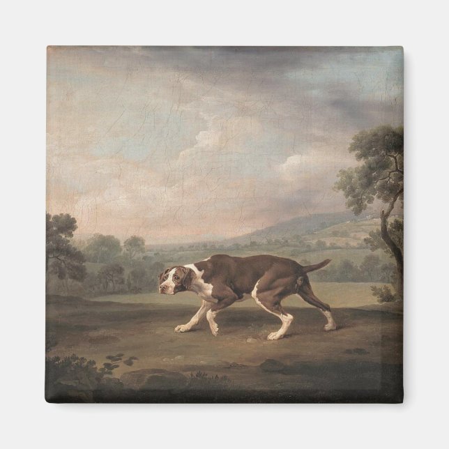 Imã Canino Espanhol (por George Stubbs) (Frente)