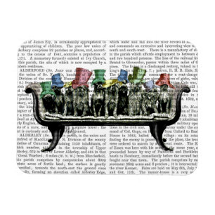 Ímã Caninos em Sofa