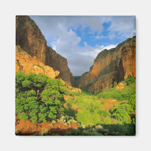 Imã Cânion Kolob no Zion Canyon no Zion National