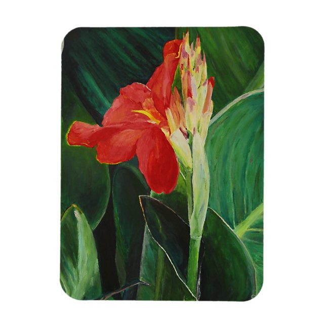 Ímã Canna - Magnet (Vertical)