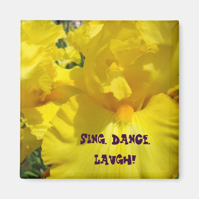 Imã Cante. Dance. Ria! ímã Flores Íris Amarelas (Frente)
