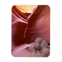 Canyon de muitas cores