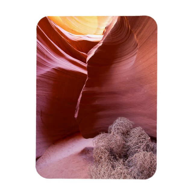 Ímã Canyon de muitas cores (Vertical)