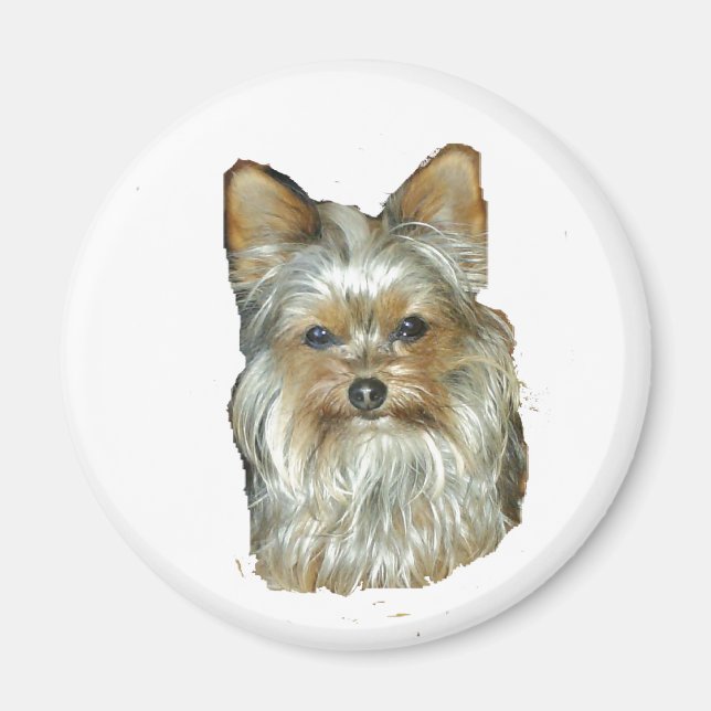 Imã Cão 4B,Yorkshire Terrier,Magnet (Frente)