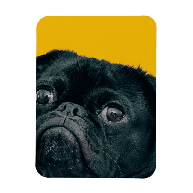 Ímã cão amarelo (Vertical)