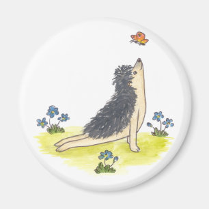 Imã Cão ascendente do revestimento do ouriço