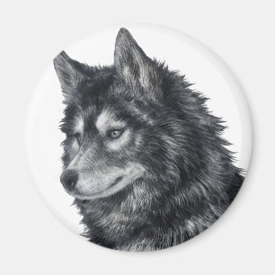Imã Cão Balto