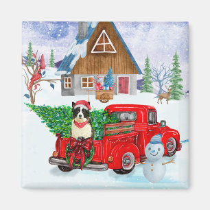 Imã Cão Border Collie em Caminhão de Entrega de Natal 