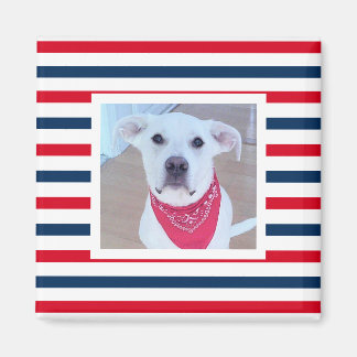 Imã Cão Cachorro Vermelho Branco Azul Strips Foto Patr