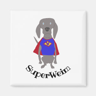Imã Cão cinzento de Weimaraner do fantasma de
