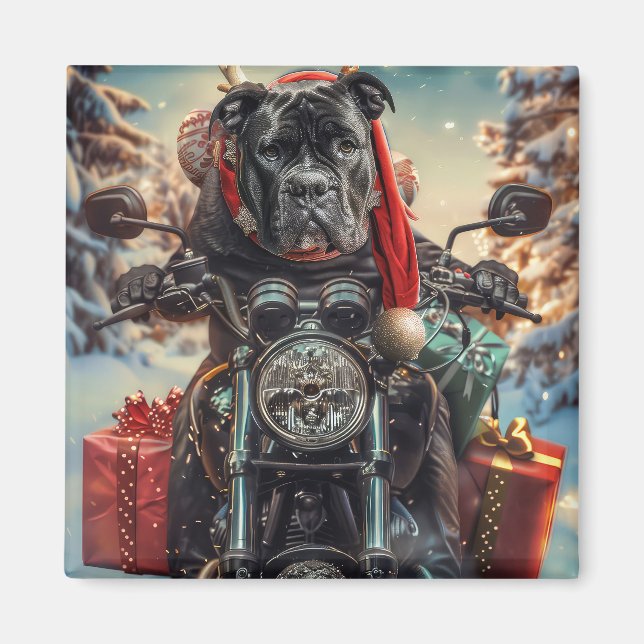 Imã Cão Corso Andando de Motocicleta Natal (Frente)