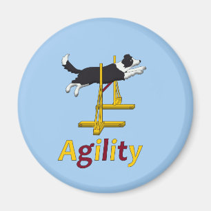 Imã Cão da agilidade