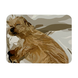 Ímã Cão da Daisy 