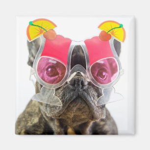 Imã Cão das imagens de Getty com vidros de cocktail