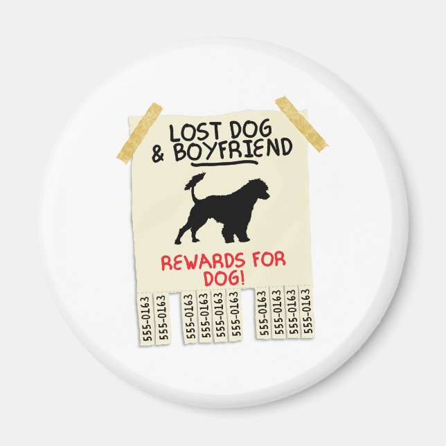 Imã Cão de Água Português (Frente)