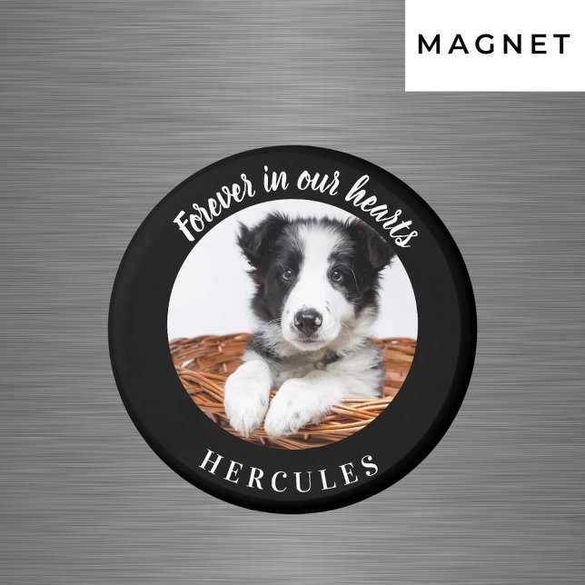 Imã Cão de amor de foto negra memorial (Criador carregado)