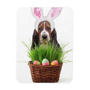 Ímã Cão de Basset Hound da páscoa