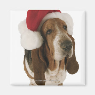 Imã Cão de Basset no chapéu do papai noel