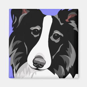 Imã Cão de border collie