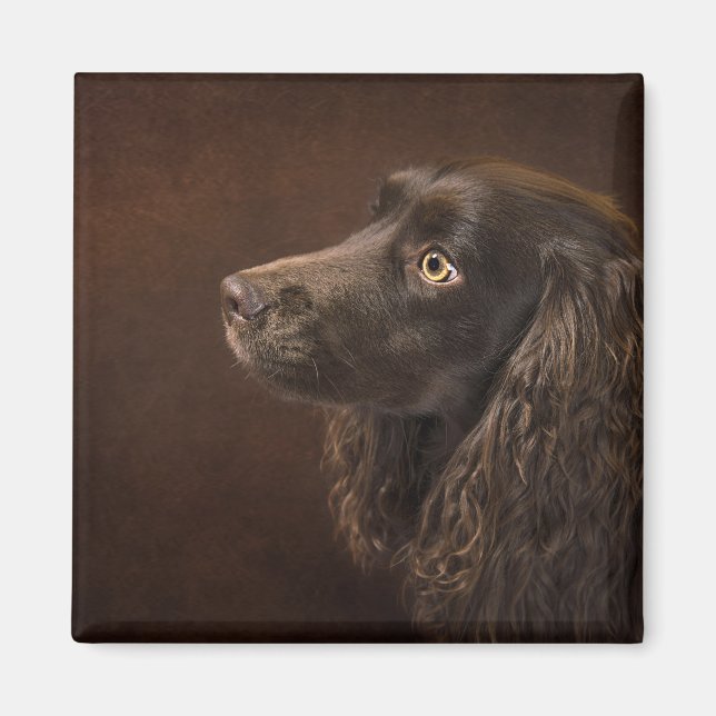 Imã Cão De Cabelo Castanho (Frente)