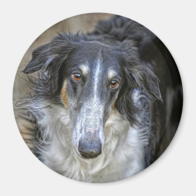 Imã Cão de Emergência Borzoi (Frente)