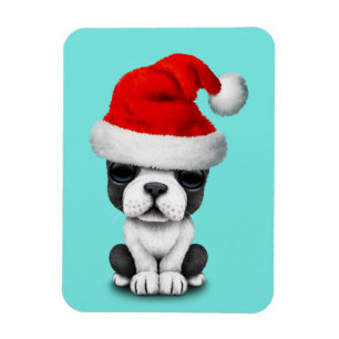 Ímã Cão de filhote de cachorro do buldogue francês q
