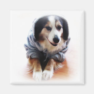 Imã Cão de Gangsta que veste o Hoodie