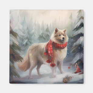 Imã Cão de Lappund, finlandês, no Natal da neve
