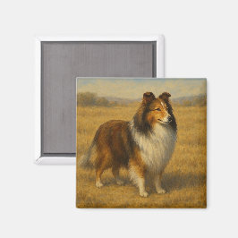 Imã Cão de Pastoreiro de Shetland
