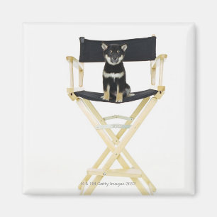 Imã Cão de Shiba Inu na cadeira do diretor
