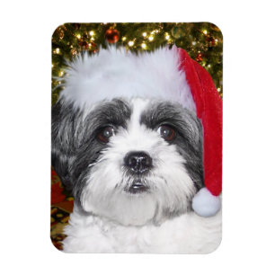 Ímã Cão de Shih Tzu do Natal