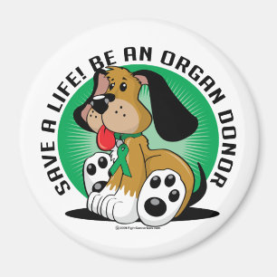 Imã Cão do dador de órgãos