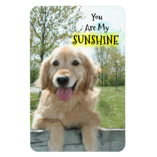 Ímã Cão do golden retriever na cerca você é minha l