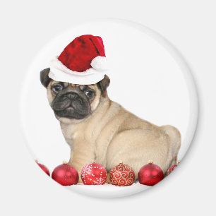Imã Cão do pug do Natal