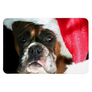 Ímã Cão do pugilista do Natal