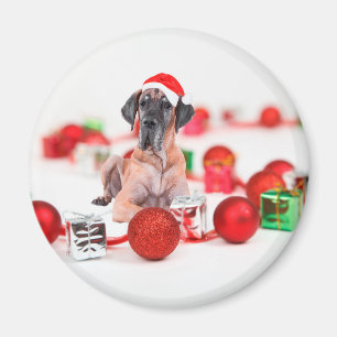 Imã Cão Dogue Alemão com Enfeites de Natal Presentes