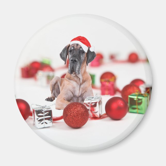 Imã Cão Dogue Alemão com Enfeites de Natal Presentes (Frente)