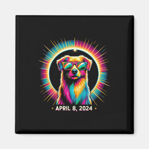 Imã Cão Eclipse Solar 2024 Vestindo Vidro Eclipse Sola