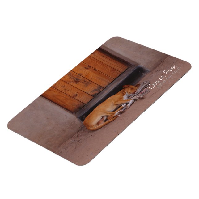 Ímã Cão em Repouso (Left Side)