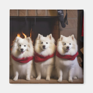 Imã Cão Esquimó Americano junto à Lareira Natal