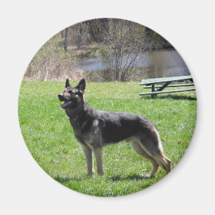 Imã cão german shepherd
