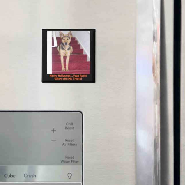 Imã Cão German shepherd De Halloween Sem Tratamentos (In Situ (Fridge))