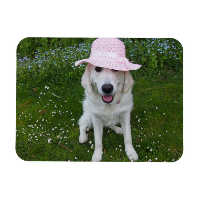 Ímã cão mais doce do mundo (Horizontal)