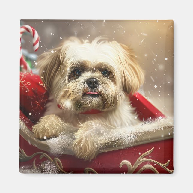 Imã Cão Malti Tzu Festa de Natal (Frente)