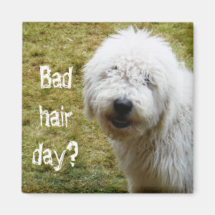 Imã Cão mau Frizzy macio do dia do cabelo
