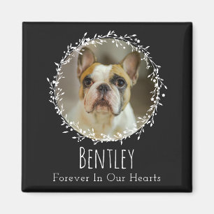 Imã Cão Memorial Pet Loss Keepsaem Duas Fotografias Wr