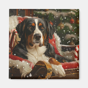Imã Cão Montanhês Suíço Grande Natal Festivo