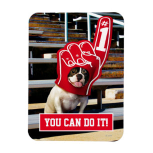 Ímã Cão Na Mão De Espuma